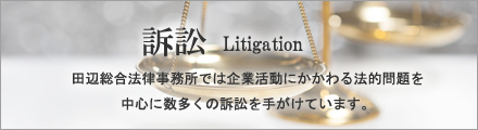 田辺総合法律事務所では企業活動にかかわる法的問題を中心に数多くの訴訟を手がけています。